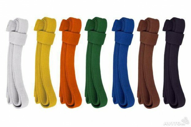 Система рангов в Айкидо — степени и пояса